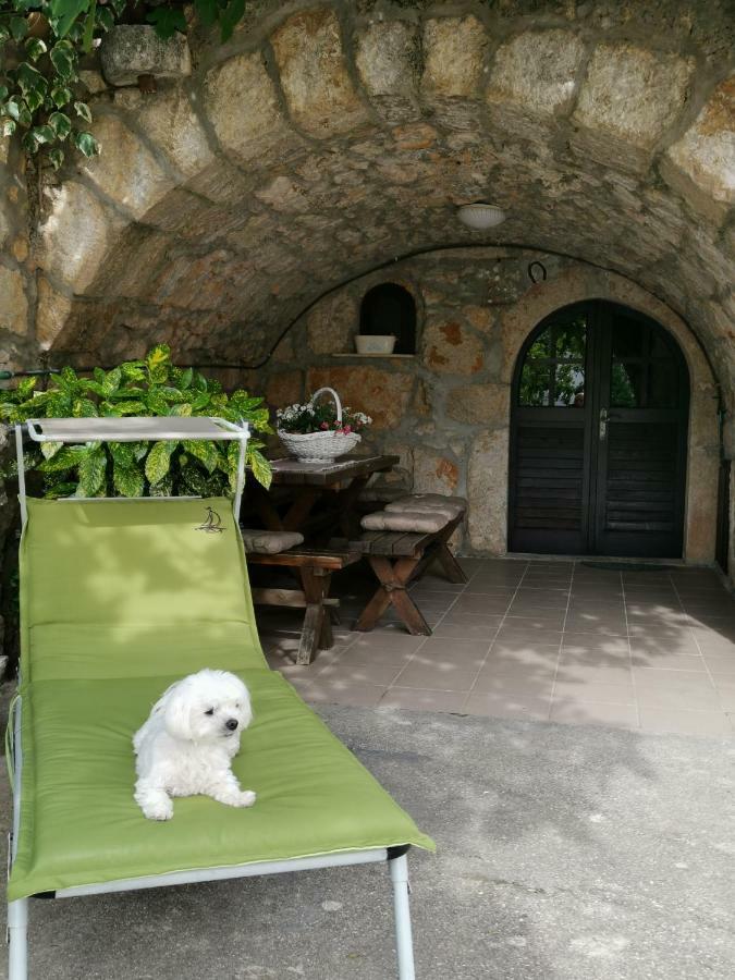 Guest House Otto プナト エクステリア 写真